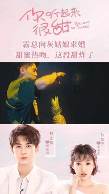 沙皮狗逃离